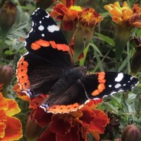 Бабье лето :: Александр Ковальчук