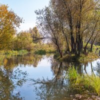 Осень :: Михаил Измайлов