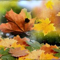 С Днём осеннего равноденствия! :: Андрей Заломленков С Днём осеннего равноденствия! :: Андрей Заломленков