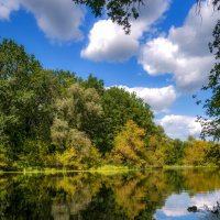 Отражение :: Наталья Димова