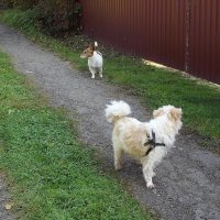 Не отставай... :: Freddy 97