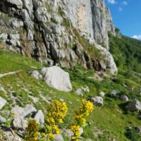 ЗАПАДНЫЙ КАВКАЗ. Пшехский водопад :: Tata Wolf