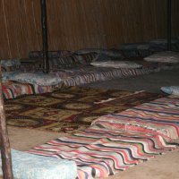 Шатер Бедуина :: Аркадий Басович