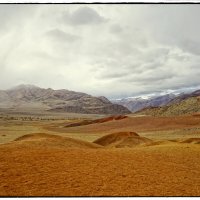 Алтай зовет. :: Сергей Капицин