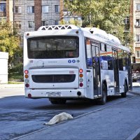 Ни проехать, ни пройти... :: Валентина * Ни проехать, ни пройти... :: Валентина *