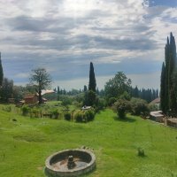 Территория Новоафонского монастыря :: Ирэн 