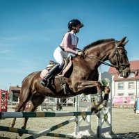 Это конкур :: Sergey 