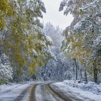 Мокрый снег. :: юрий Амосов Мокрый снег. :: юрий Амосов