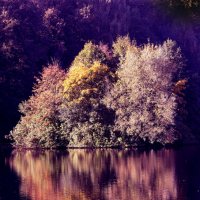 Царицыно утром 22 сентября :: Михаил Бибичков