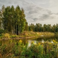 Цвет осени 4 :: Андрей Дворников Цвет осени 4 :: Андрей Дворников