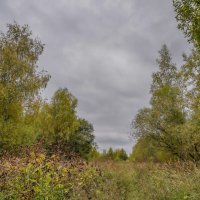 Под небом сентября... :: Владимир Жданов Под небом сентября... :: Владимир Жданов