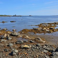 ** :: Александр Хаецкий