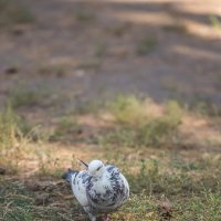 Осенний парк. Белгород :: Михаил Осенний парк. Белгород :: Михаил