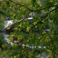 Мостик на районе Измайлово :: Мария Яковлева