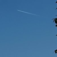 Лётчик - романтик: "Сегодня таки доберусь до Луны!...")) :: Игорь Тельцов