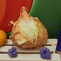 Лук от семи недуг. :: Татьяна Помогалова Лук от семи недуг. :: Татьяна Помогалова