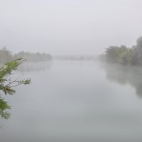 На рыбалке... :: Надежда Куркина 