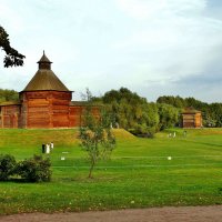 КОЛОМЕНСКОЕ :: АЛЕКСАНДР 