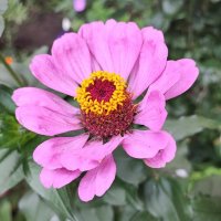 ,,, :: Сергей Тимоновский