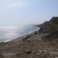 Природа Крыма :: Amazing Cosmea