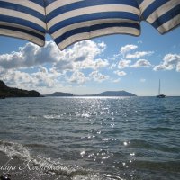 Природа Крыма :: Amazing Cosmea