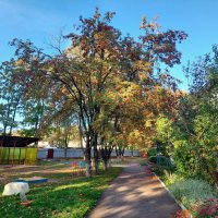 утро :: Артём 