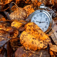 Время осени :: Павел Греков