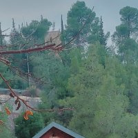 13 ОПЕН (392) :: OPEN WAYS ALL 13 ОПЕН (392) :: OPEN WAYS ALL