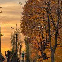 *** :: Яна Горбунова