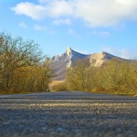 Уж облетели листья.. :: Геннадий Валеев