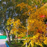 Признаки осени. :: юрий Амосов