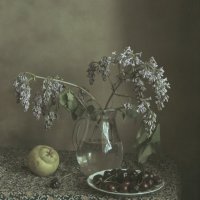 Серый день :: Валентина 