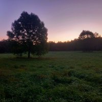 Рассвет :: Сапсан 