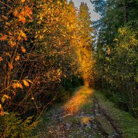 Золотая осень :: Владимир VS