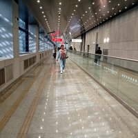 Звездная перспектива :: Александр Чеботарь Звездная перспектива :: Александр Чеботарь