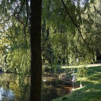 Рыбак :: Лариса Корж