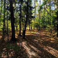 Бабье лето длинным не бывает :: Андрей Лукьянов Бабье лето длинным не бывает :: Андрей Лукьянов