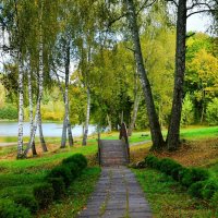 Осень в сентябре (репортаж из поездок по области). :: Милешкин Владимир Алексеевич 