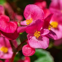 *** :: Виктор Иванович Чернюк