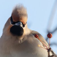 И это все? :: Виктор Иванович Чернюк