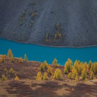 * :: Александр Иванов