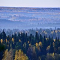 - :: Владимир Мигонькин