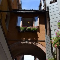 Мостики Венеции :: Ольга 