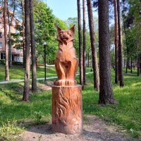 Рысь - как один из символов Соснового Бора. :: Лия ☼