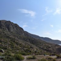 Природа Крыма :: Amazing Cosmea