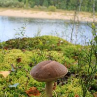 Представитель осени... :: Галина Ильясова