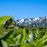 Гомис Мта - высокогорная деревня в Грузии. :: Дина Евсеева Гомис Мта - высокогорная деревня в Грузии. :: Дина Евсеева