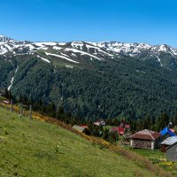 Гомис Мта . Гурия. Грузия :: Дина Евсеева