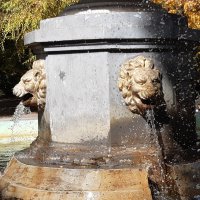 Осень в городе :: Галина Минчук Осень в городе :: Галина Минчук