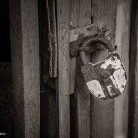 Из серии "Все ушли" :: Алексей Трифонов